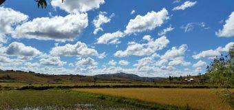 Investir à Madagascar : dans quels secteurs ? Elman dans les champs