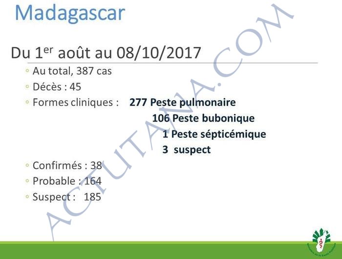 Peste : situation au 09/10 - 387 cas