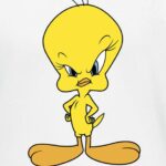 titi.jpg