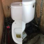 2021-11-01_013308 cr.JPG