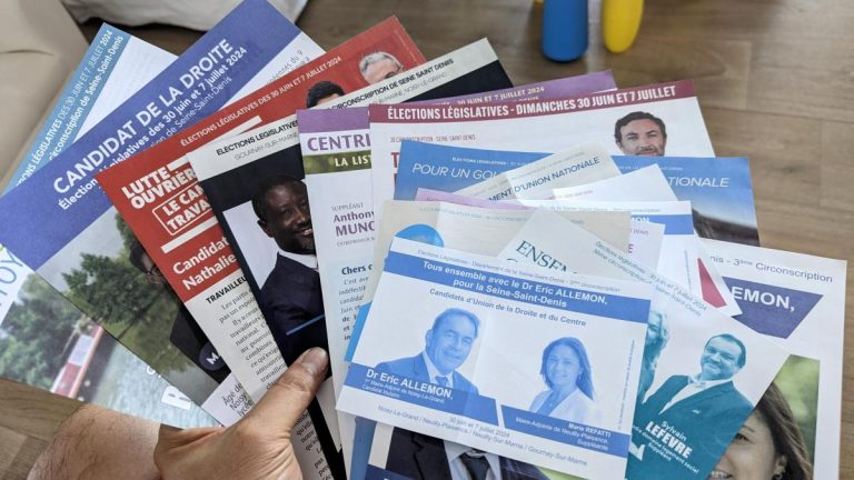Législatives 2024