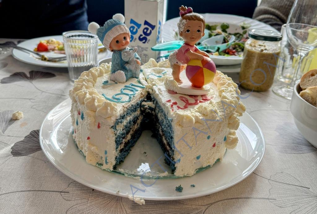 Gender reveal
