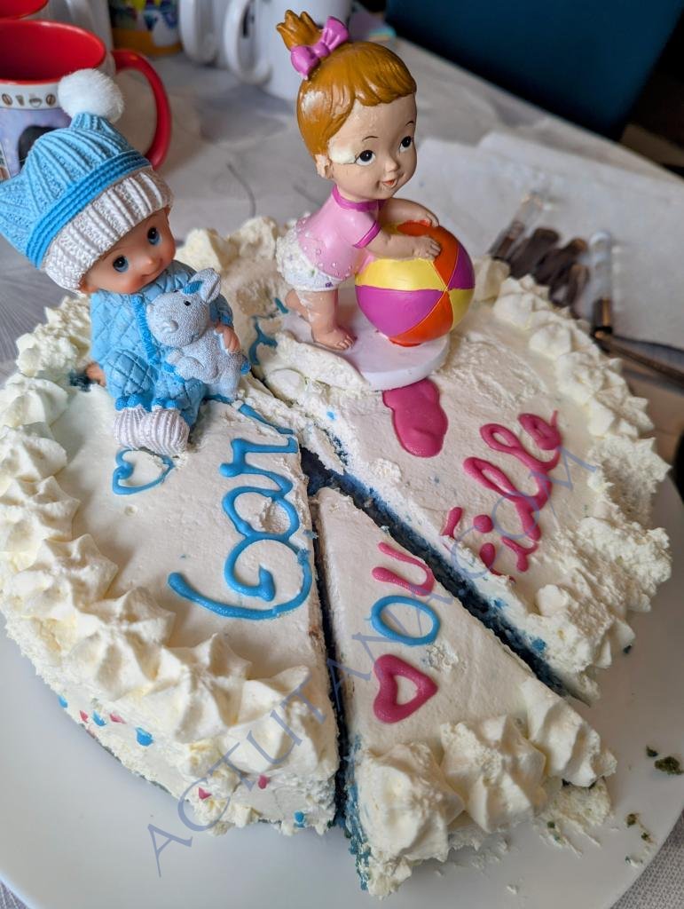 Gender reveal