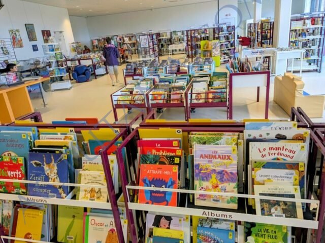 On était à la bibliothèque avec le prince et la princesse l'autre jour : ça c'est important
