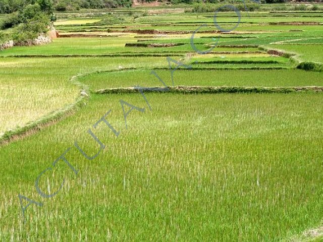 8 millions hectares de terres cultivables, mmmh, y a bon ?