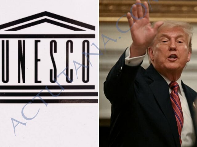 vvx23ok13w0ubm7p8q7rqt5fs3rhh1q9